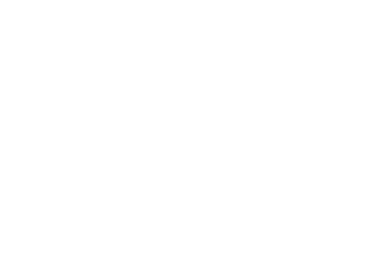 Viora Logo